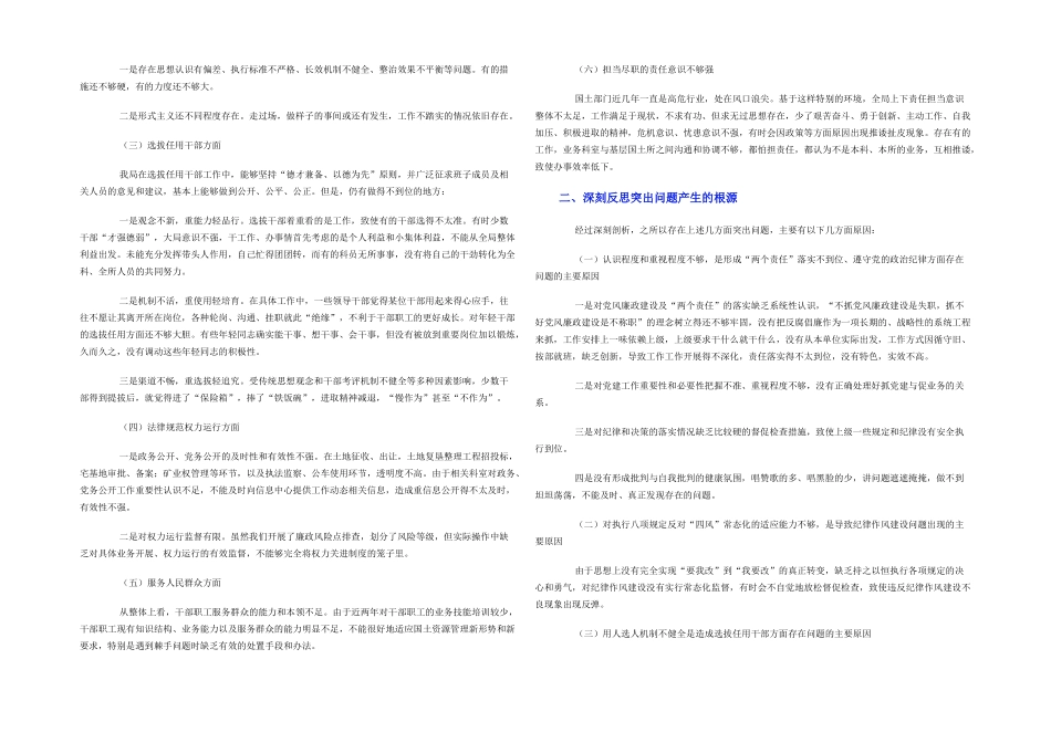 市国土资源局党组反思剖析报告_第2页