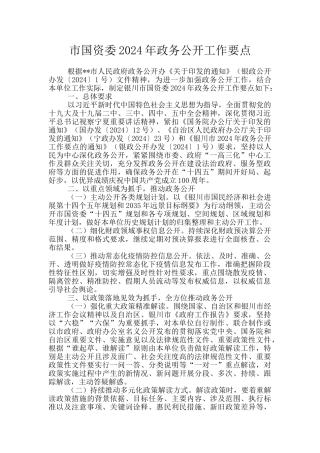 市国资委2024年政务公开工作要点