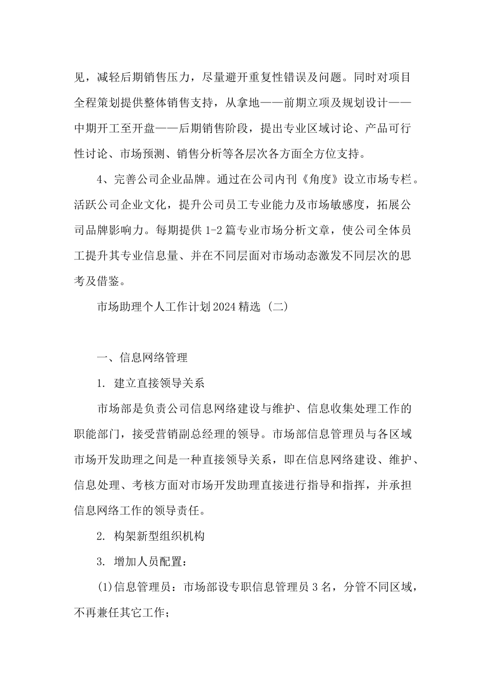 市场助理个人工作计划2024精选_第2页