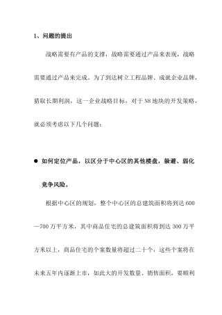 市场开发策略及竟争策略