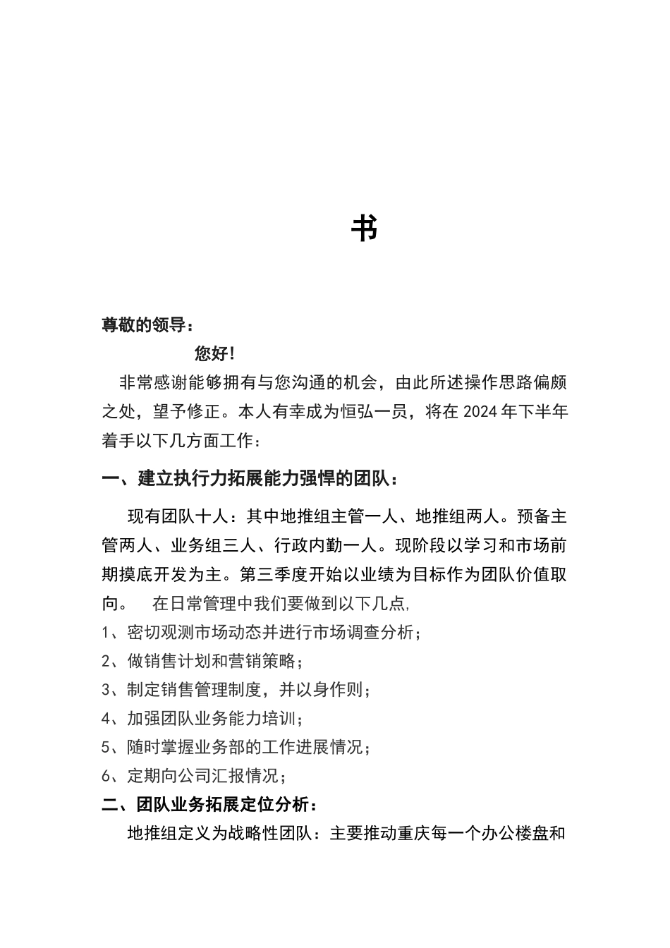 市场拓展计划书12102_第2页