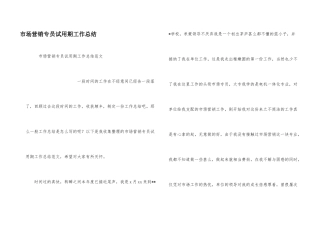 市场营销专员试用期工作总结