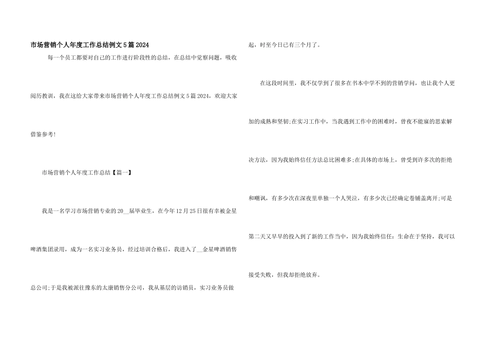 市场营销个人年度工作总结例文5篇2024_第1页
