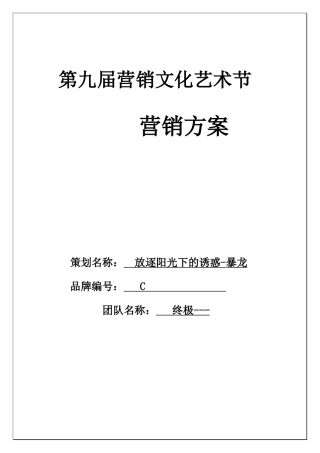 市场营销策划——太阳镜