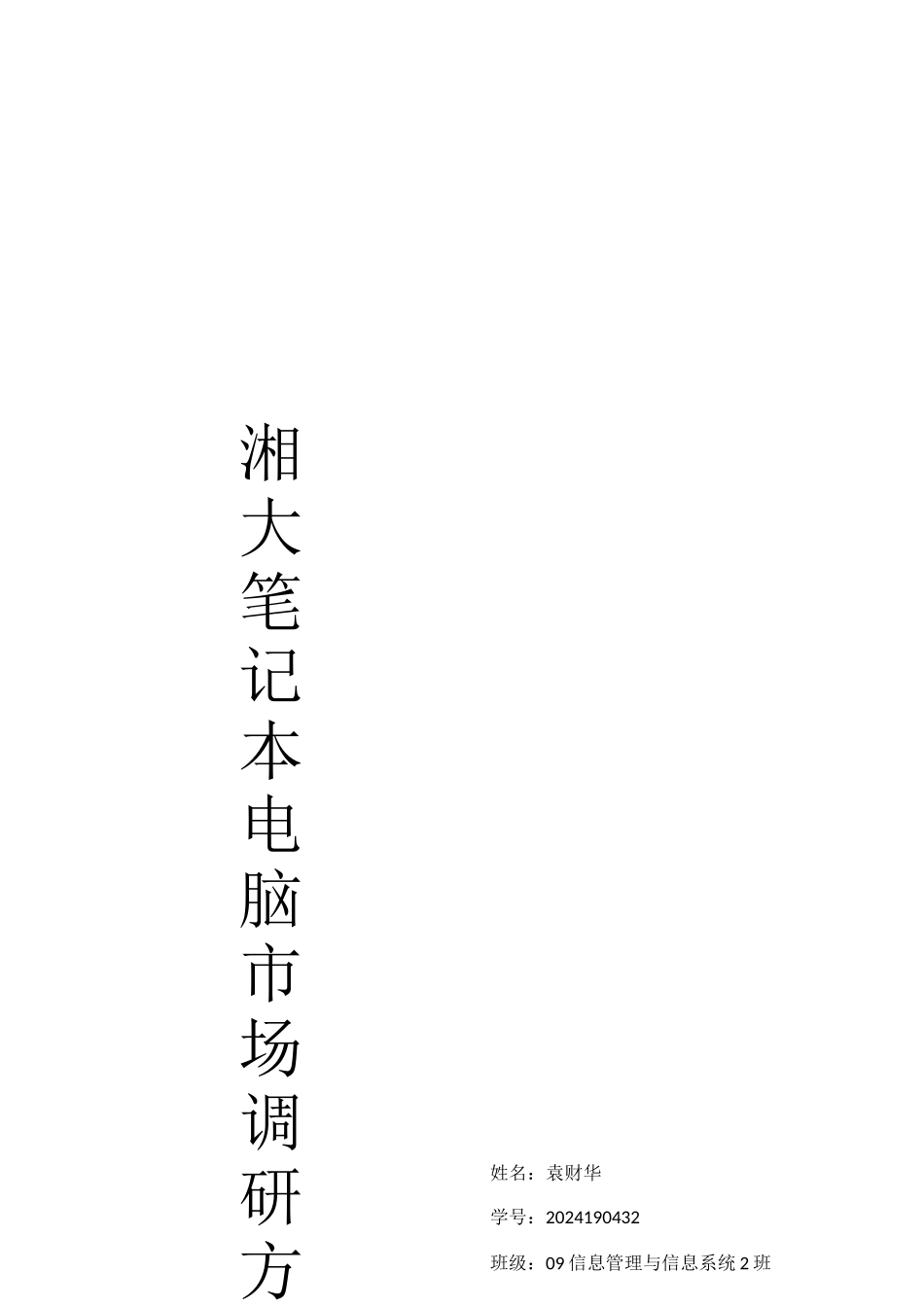 市场调研计划书样本_第1页