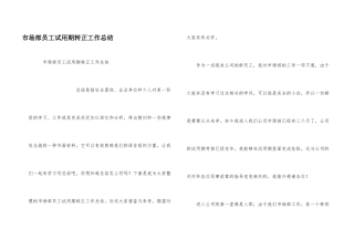 市场部员工试用期转正工作总结