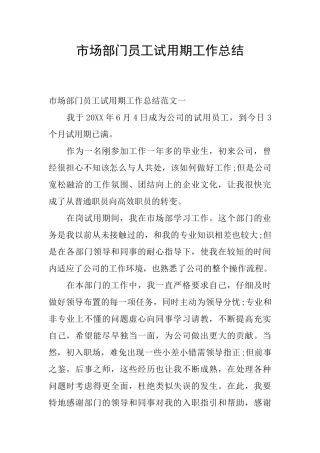 市场部门员工试用期工作总结