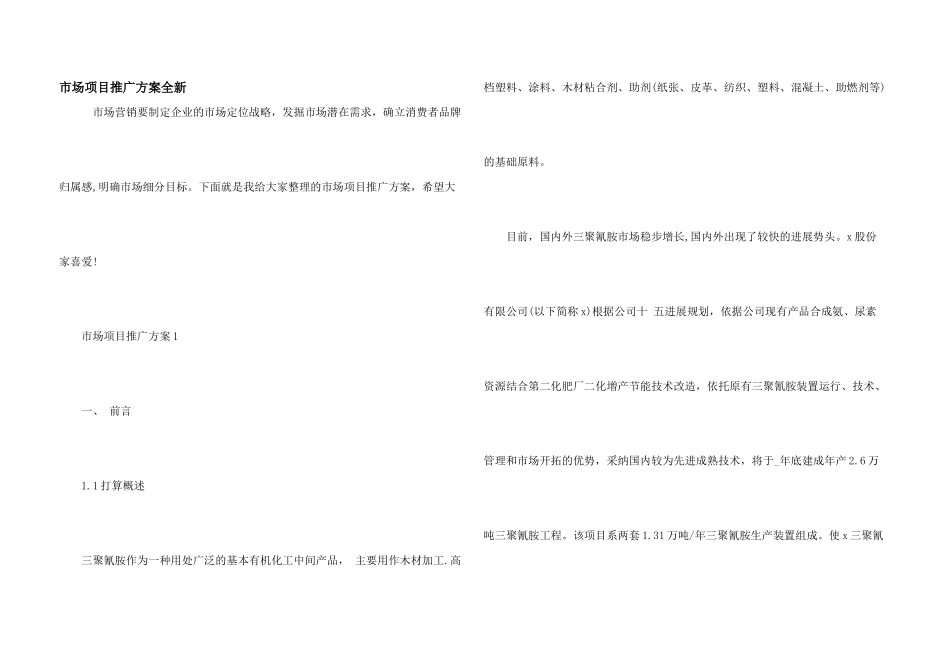 市场项目推广方案全新_第1页