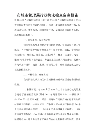 市城市管理局行政执法检查自查报告