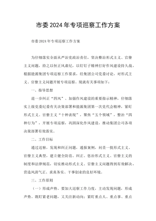 市委2024年专项巡察工作方案
