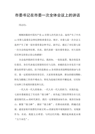 市委书记在市委一次全体会议上的讲话