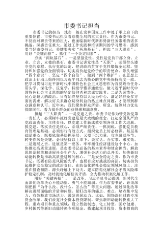 市委书记担当