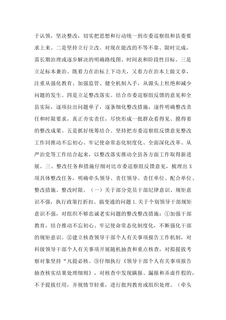 市委巡察反馈意见整改落实方案_第2页