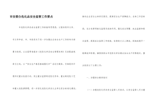 市安委办危化品安全监管工作要点