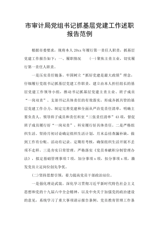 市审计局党组书记抓基层党建工作述职报告范例