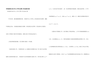 市民政局2024年上半年主要工作总结汇报
