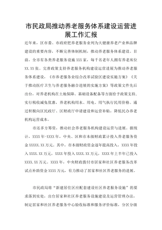 市民政局推进养老服务体系建设运营发展工作汇报