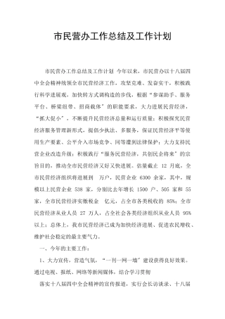 市民营办工作总结及工作计划