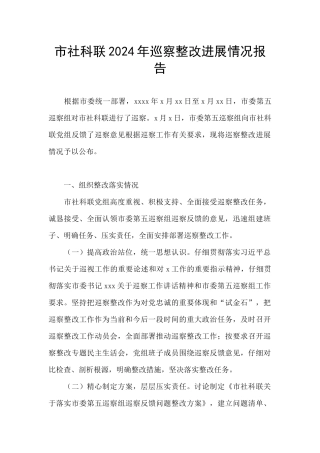市社科联2024年巡察整改进展情况报告