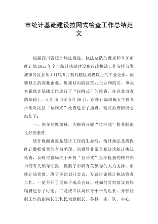 市统计基础建设拉网式检查工作总结范文