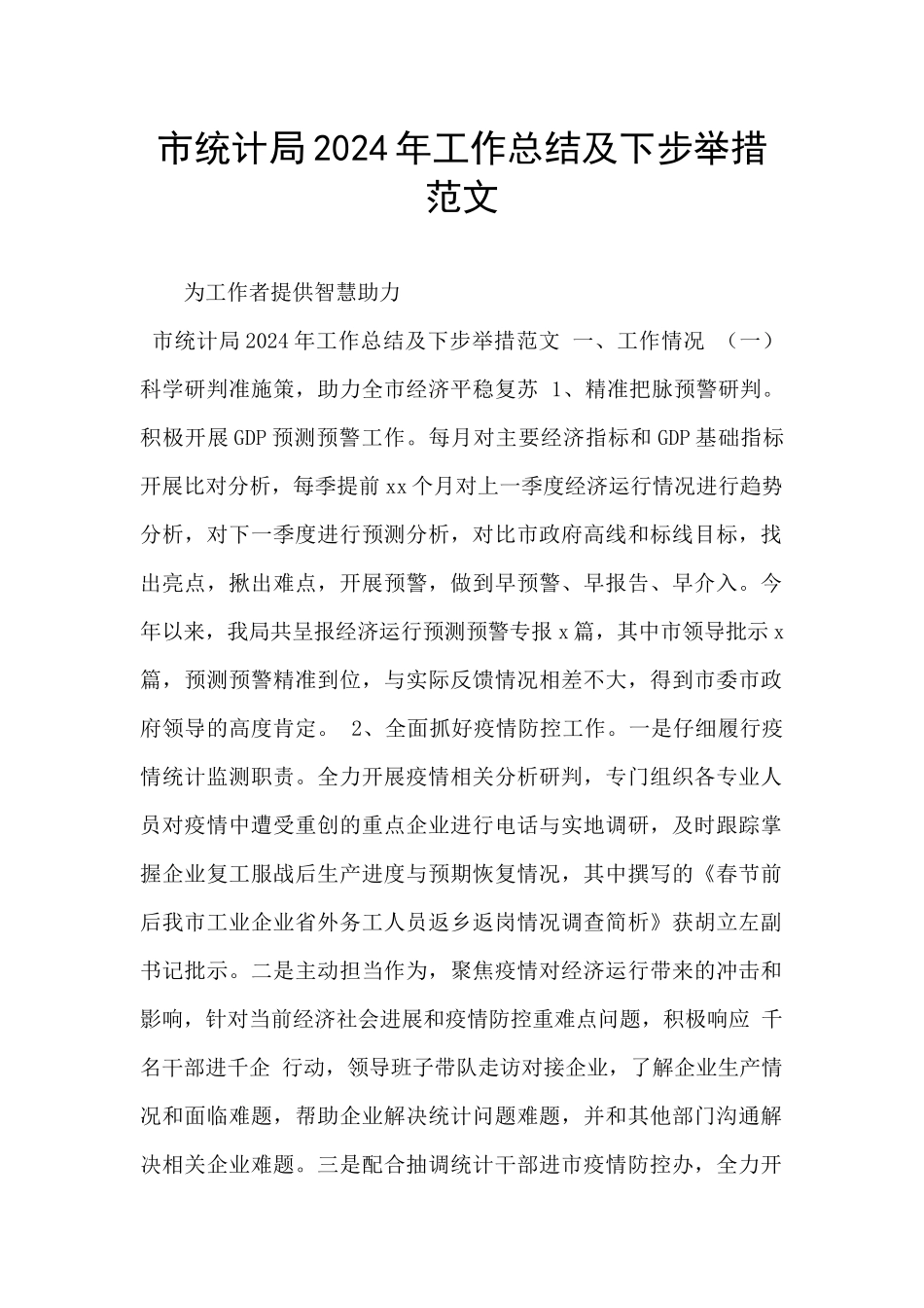 市统计局2024年工作总结及下步举措范文_第1页
