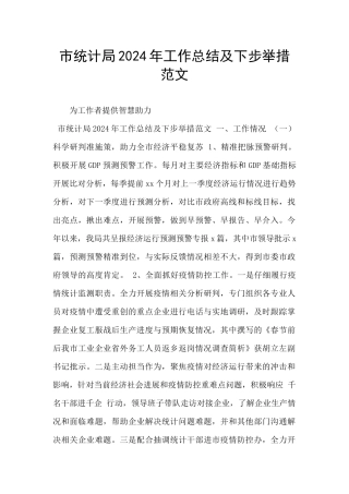 市统计局2024年工作总结及下步举措范文