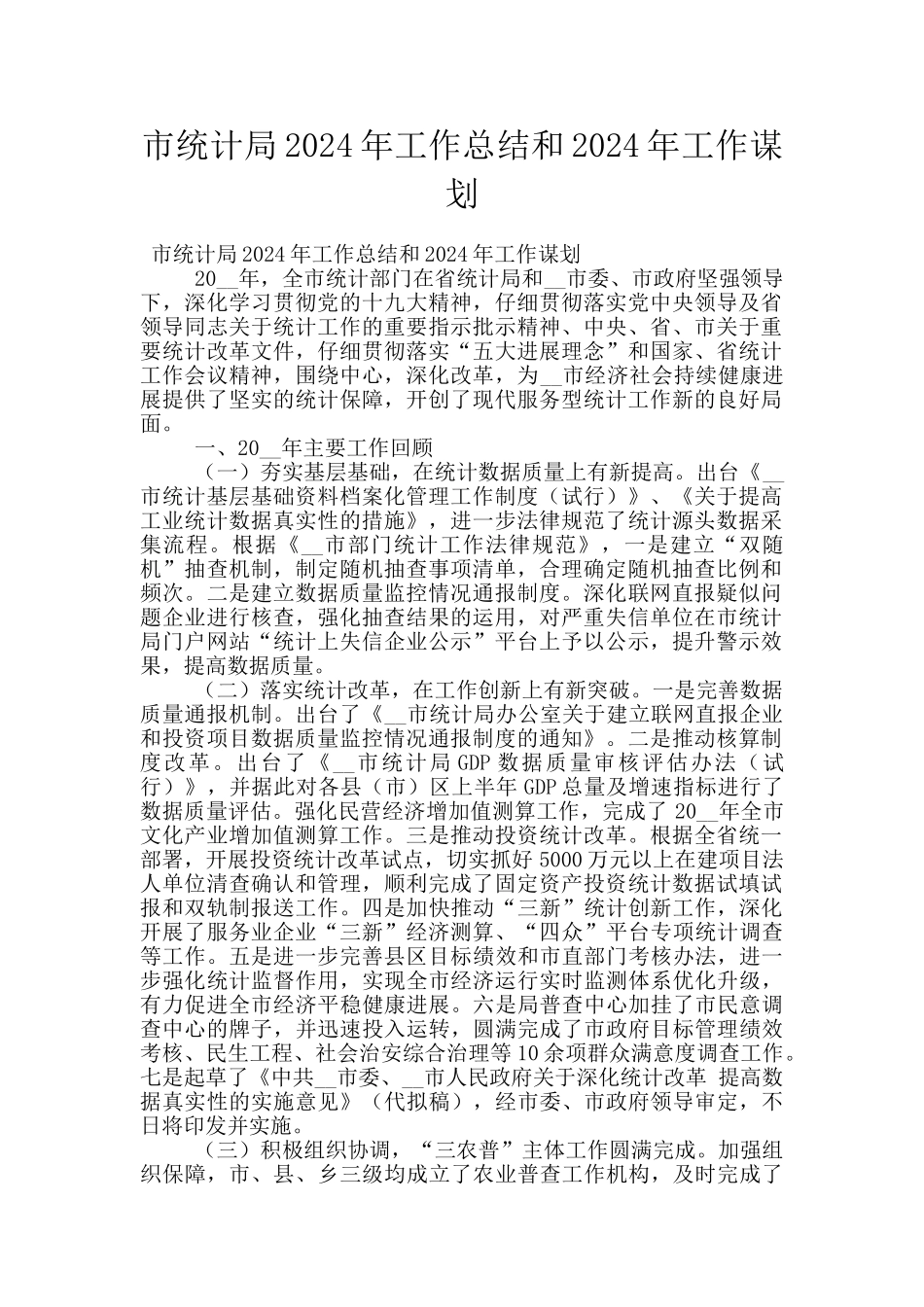 市统计局2024年工作总结和2024年工作谋划_第1页