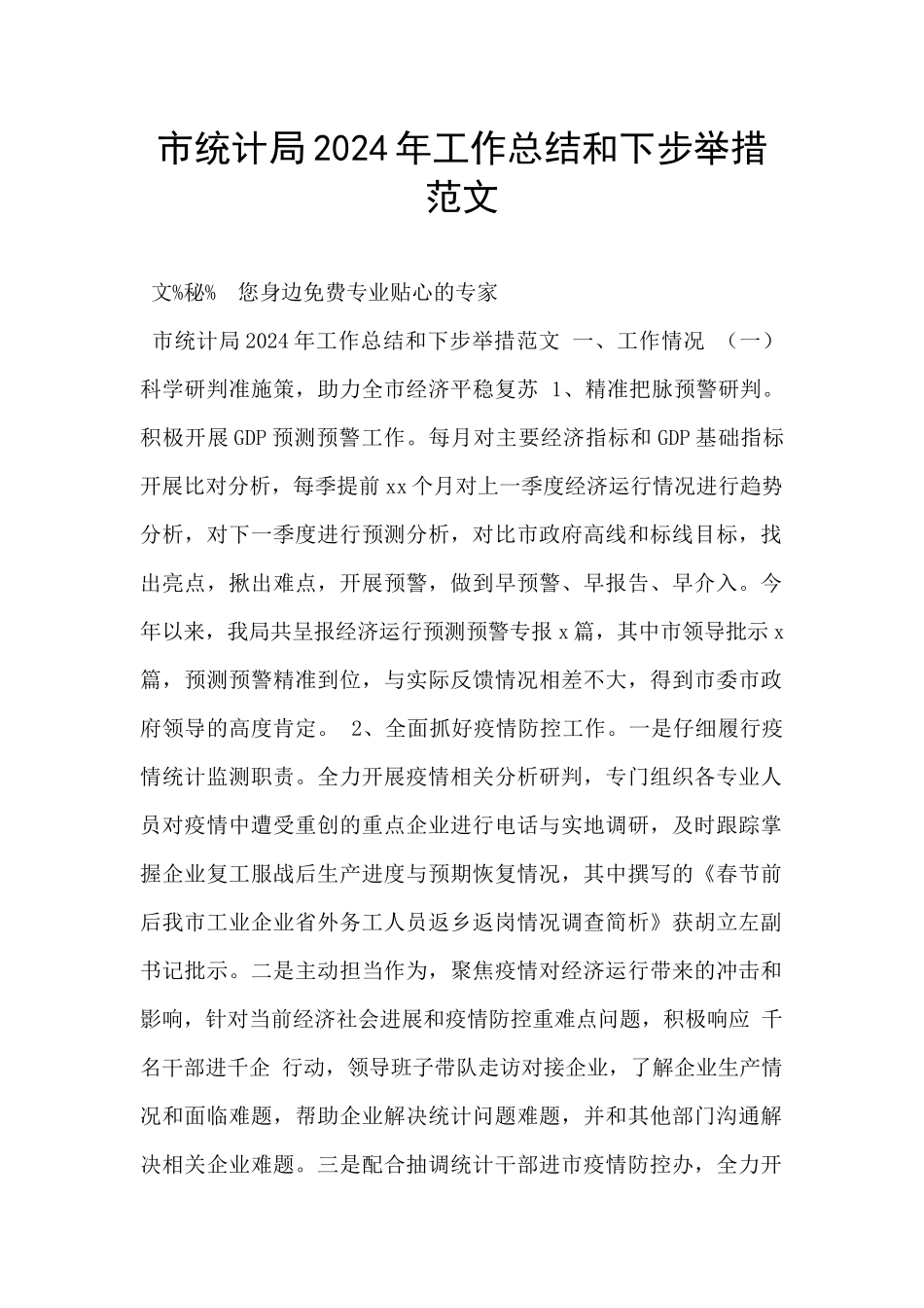 市统计局2024年工作总结和下步举措范文_第1页