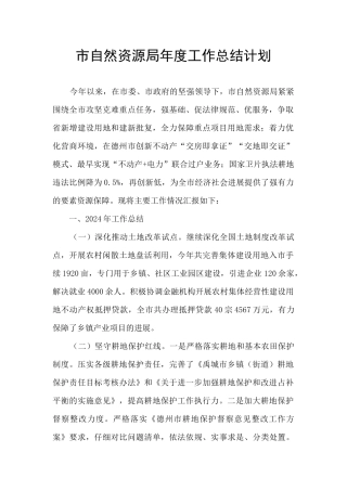 市自然资源局年度工作总结计划