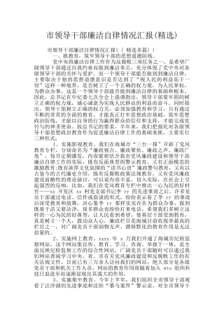 市领导干部廉洁自律情况汇报