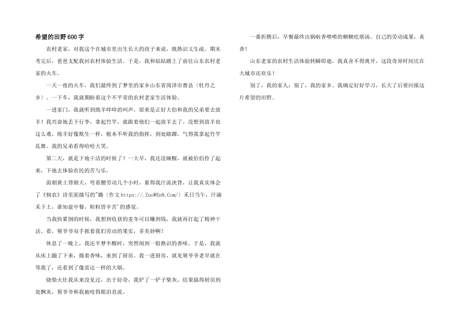 希望的田野600字_第1页