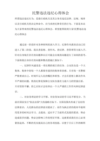 民警违法违纪心得体会