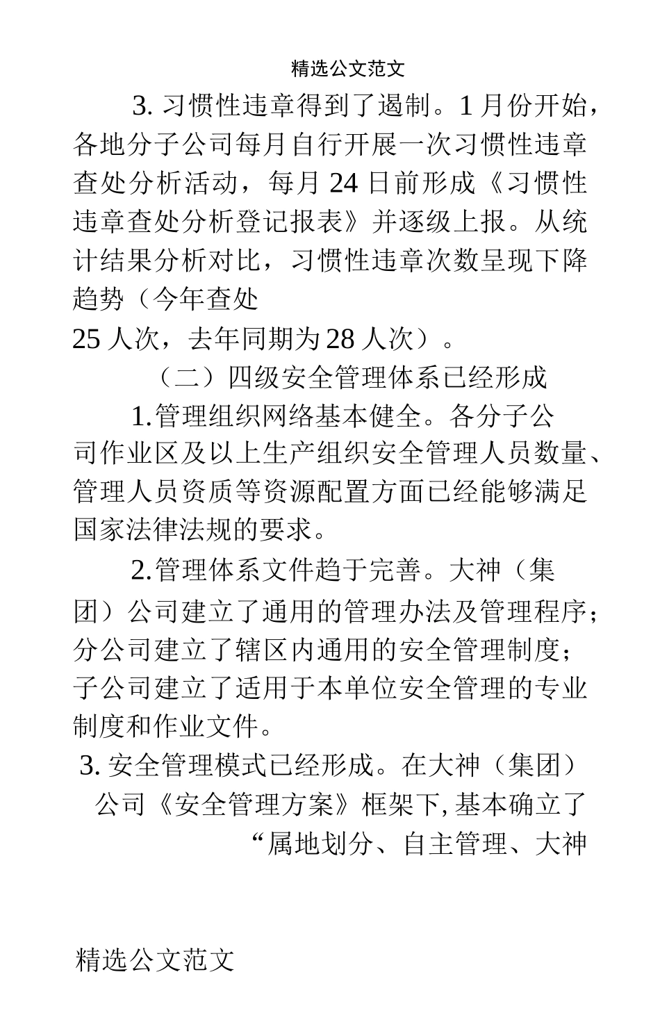 企业安委会汇报材料_第3页