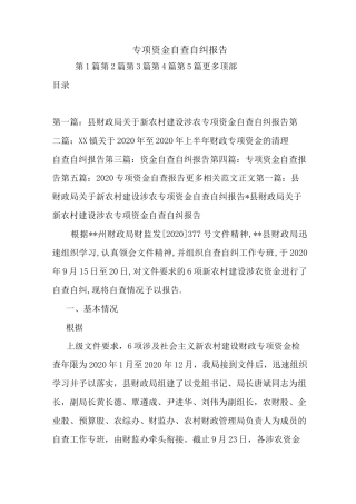 最新专项资金自查自纠报告