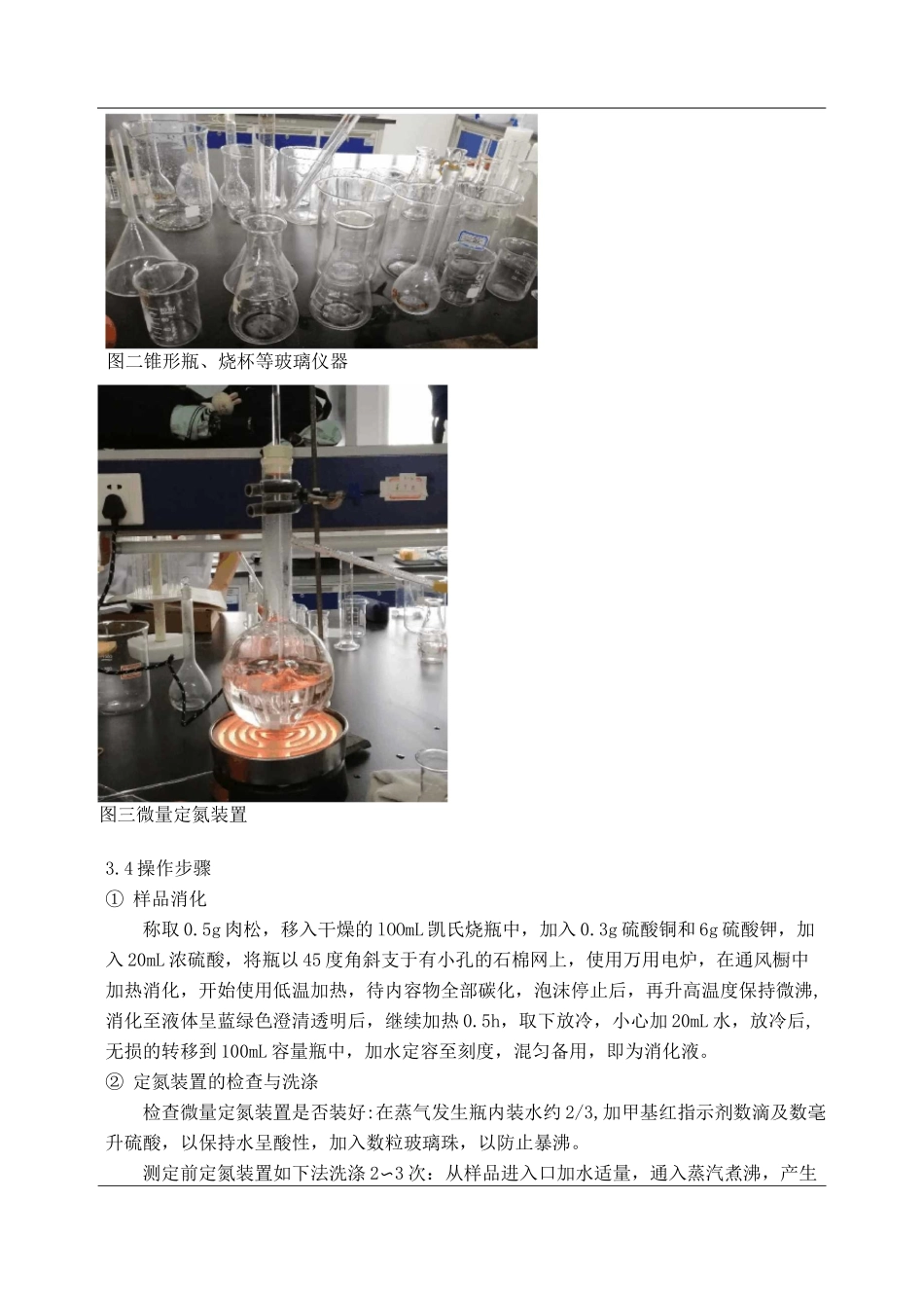 食品中蛋白质的测定_第2页