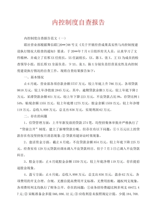 内控制度自查报告
