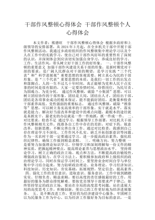 干部作风整顿心得体会