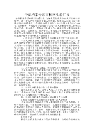 干部档案专项审核回头看汇报