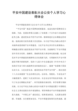 平安中国建设表彰大会公安个人学习心得体会