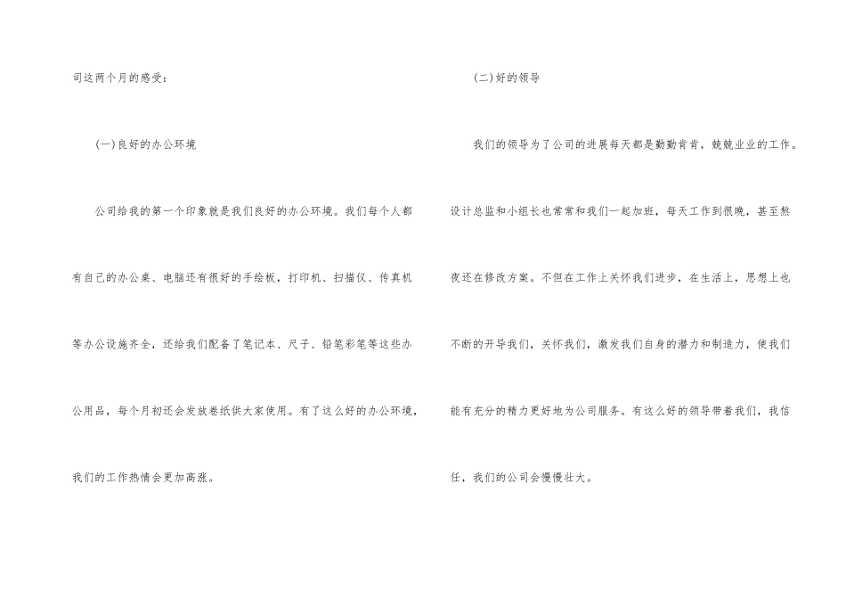 平面设计师个人试用期工作总结_第2页