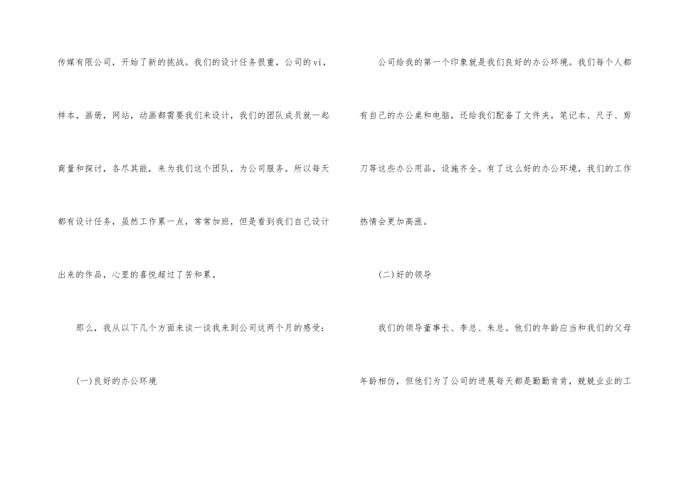 平面设计师工作总结2024_第2页