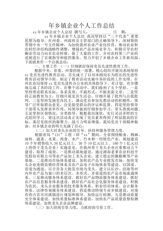 年乡镇企业个人工作总结