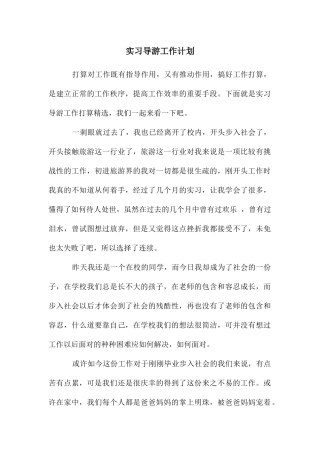 年实习导游工作计划