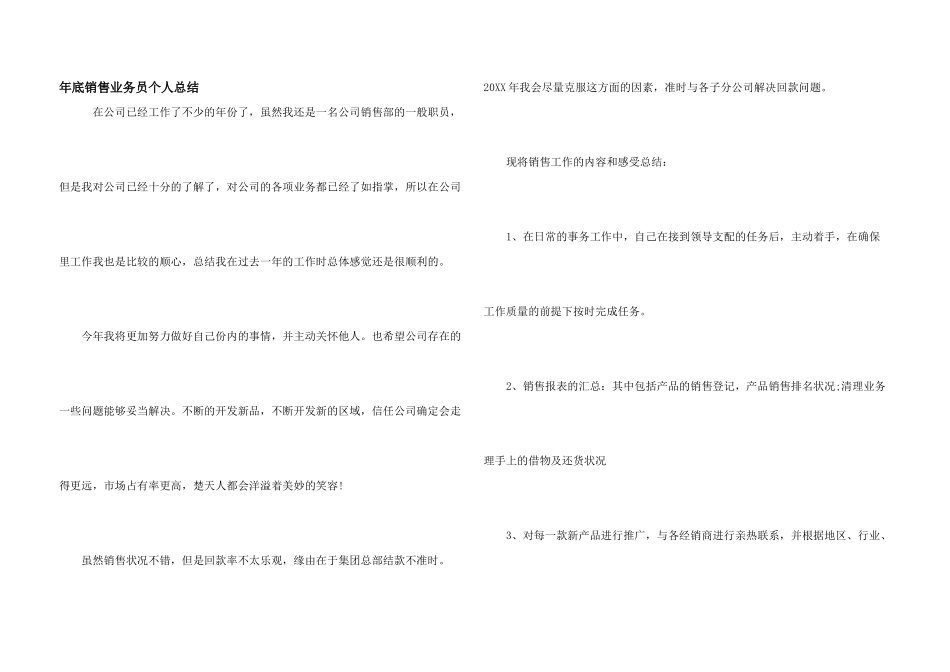 年底销售业务员个人总结_第1页