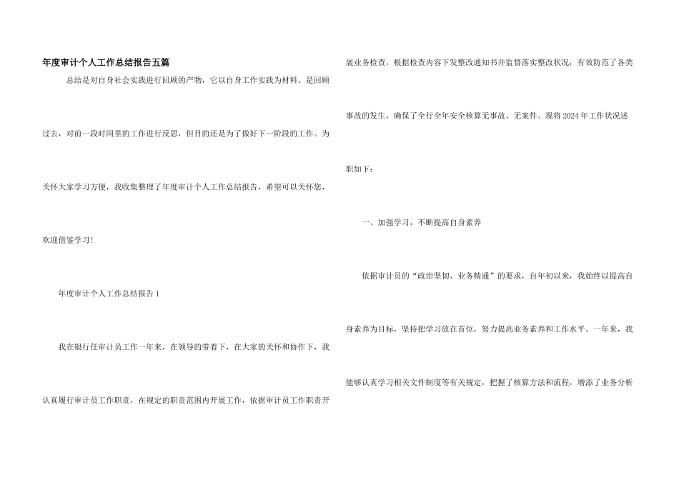 年度审计个人工作总结报告五篇_第1页
