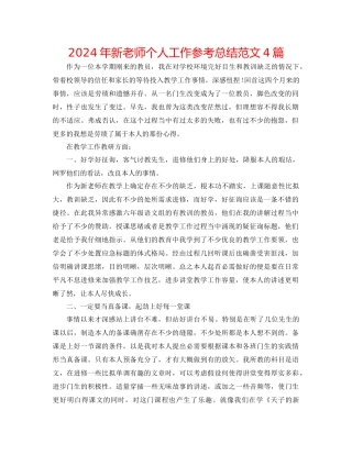 年新教师个人工作参考总结范文4篇