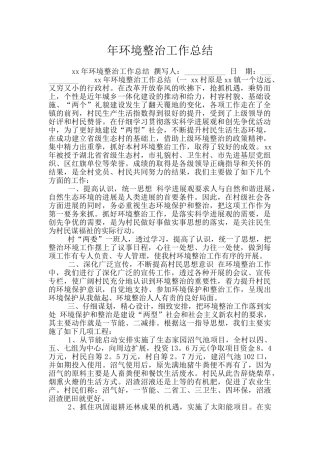 年环境整治工作总结