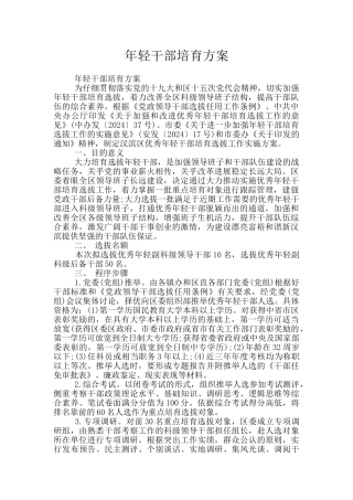 年轻干部培养方案