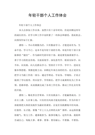 年轻干部个人工作体会