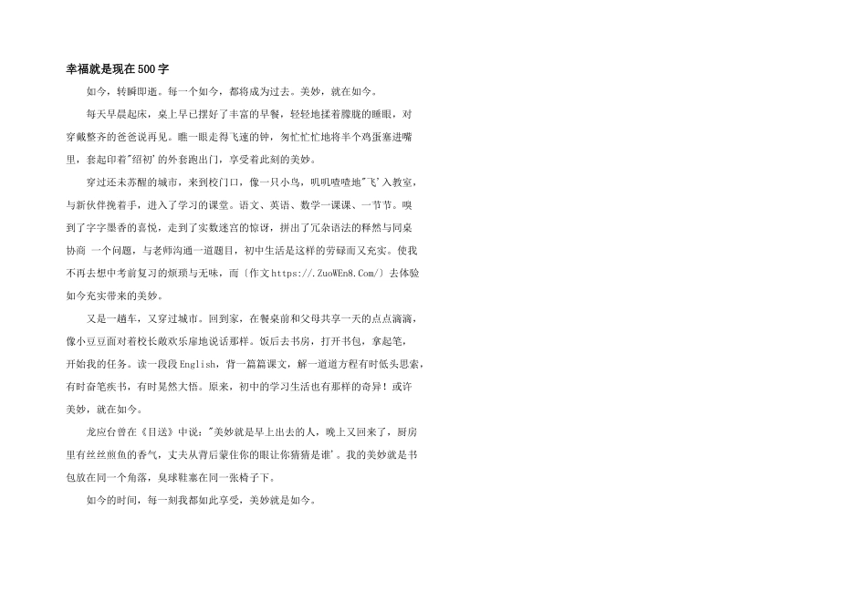 幸福就是现在500字_第1页